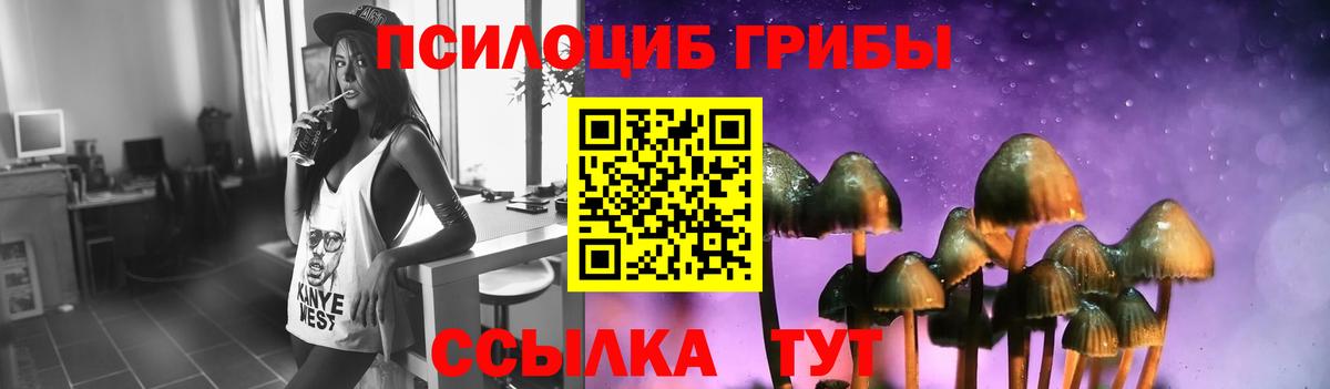 Кызыл  Псилоцибиновые грибы Cubensis  что такое наркотик  Вход с VPN 